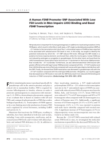 FSHB FSH Levels in Men Impairs LHX3 Binding and Basal