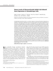 Stress Levels of Glucocorticoids Inhibit LH Gene Expression in Gonadotrope Cells -Subunit