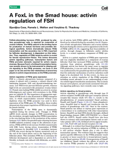 A FoxL in the Smad house: activin regulation of FSH