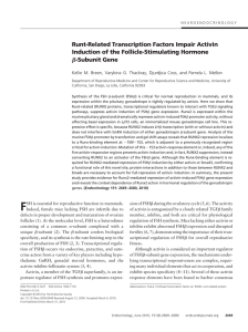 Runt-Related Transcription Factors Impair Activin Induction of the Follicle-Stimulating Hormone -Subunit Gene
