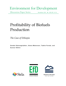 Environment for Development Profitability of Biofuels Production