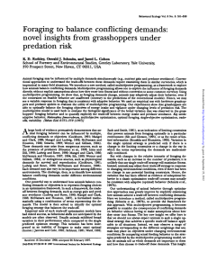 Foraging to balance conflicting demands: novel insights from grasshoppers under predation risk