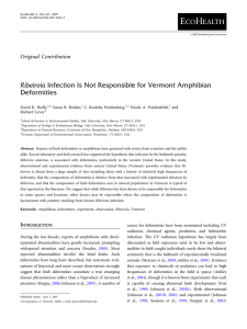 Ribeiroia Infection Is Not Responsible for Vermont Amphibian Deformities David K. Skelly,
