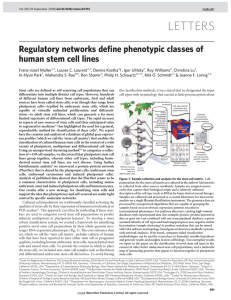 LETTERS Regulatory networks define phenotypic classes of human stem cell lines