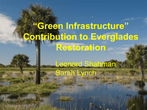 “Green Infrastructure” Contribution to Everglades Restoration