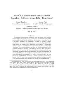 Active and Passive Waste in Government