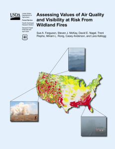 Assessing Values of Air Quality and Visibility at Risk From Wildland Fires