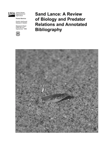 Sand Lance: A Review of Biology and Predator Relations and Annotated Bibliography