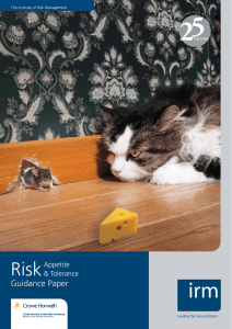 Risk  Guidance Paper Appetite