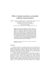 Effect of spatial resolution on intertidal sediment characterization