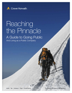 Reaching the Pinnacle A Guide to Going Public