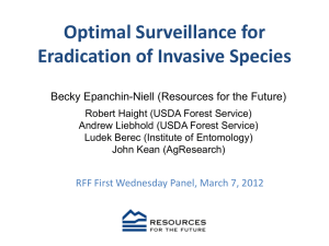 Optimal Surveillance for Eradication of Invasive Species
