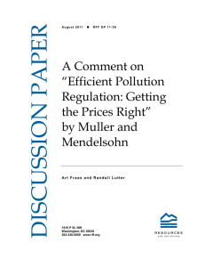 DISCUSSION PAPER A Comment on “Efficient Pollution