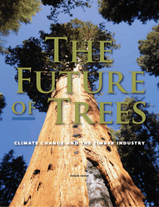 The Future Trees of
