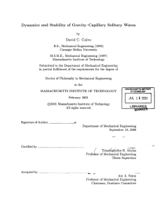 Dynamics  and  Stability  of  Gravity-Capillary ... C.