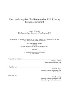 Functional analysis of the histone variant H2A.Z during lineage commitment