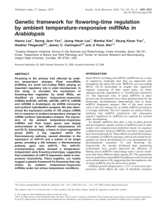 Genetic framework for flowering-time regulation by ambient temperature-responsive miRNAs in Arabidopsis