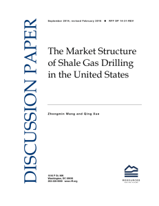 DISCUSSION PAPER The Market Structure of Shale Gas Drilling