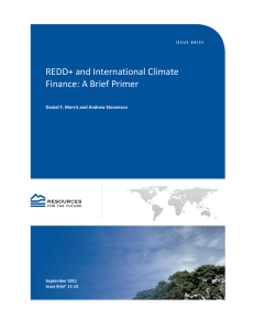 REDD+ and International Climate Finance: A Brief Primer