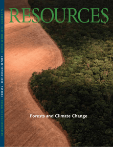 RESOURCES Forests and Climate Change · NUMBER 174 WINTER/SPRING 2010