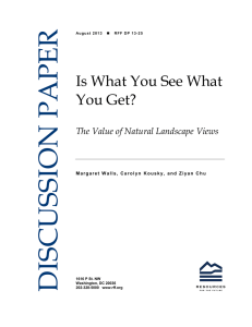DISCUSSION PAPER Is What You See What You Get?
