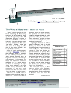 Newsletter High on the Desert The Virtual Gardener