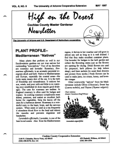 Cochise County Master Gardener PLANT PROFILE- Mediterranean &#34;Natives&#34; VOL. 8, NO. 5