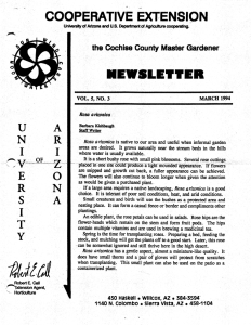 COOPERATIVE EXTENSION NEWSLETYER