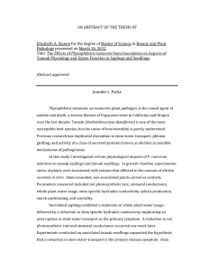 AN ABSTRACT OF THE THESIS OF    Elizabeth A. Stamm for the degree of Master of Science in Botany and Plant 