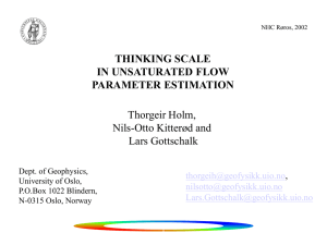 THINKING SCALE IN UNSATURATED FLOW PARAMETER ESTIMATION Thorgeir Holm,