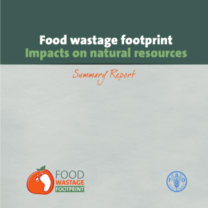 Impacts on natural resources Food wastage footprint