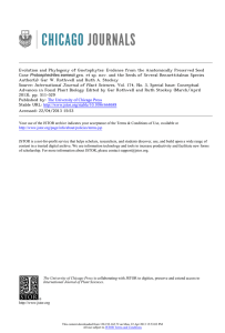 Evolution and Phylogeny of Gnetophytes: Evidence from the Anatomically Preserved... Cone gen. et sp. nov. and the Seeds of Several Bennettitalean...