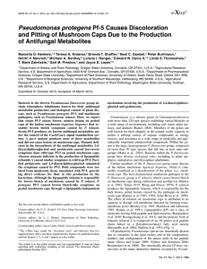 Pseudomonas protegens and Pitting of Mushroom Caps Due to the Production