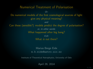 Numerical Treatment of Polarisation