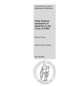 Finite Element simulations of blood flow in the Circle of Willis