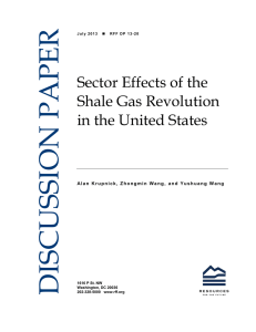 DISCUSSION PAPER Sector Effects of the Shale Gas Revolution