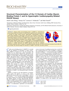 Structural Characterization of the C3 Domain of Cardiac Myosin