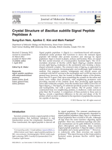 Bacillus subtilis Signal Peptide Crystal Structure of Peptidase A ⁎
