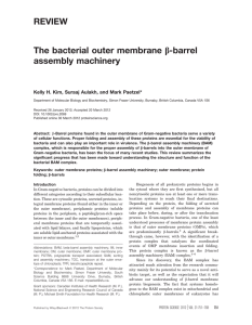 REVIEW b-barrel The bacterial outer membrane assembly machinery
