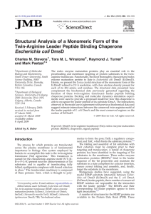 Structural Analysis of a Monomeric Form of the Escherichia coli DmsD