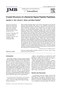 Crystal Structure of a Bacterial Signal Peptide Peptidase ⁎