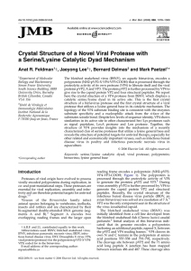 Crystal Structure of a Novel Viral Protease with Anat R. Feldman