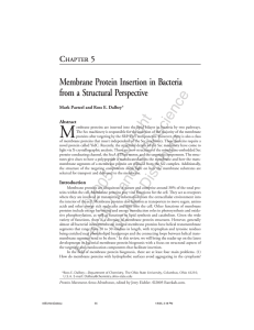 M ight Membrane Protein Insertion in Bacteria from a Structural Perspective