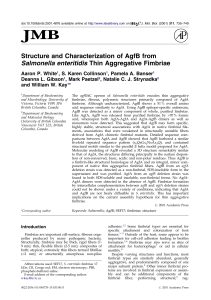 Structure and Characterization of AgfB from Salmonella enteritidis Thin Aggregative Fimbriae White ,