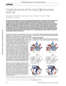 Crystal structure of the class D -lactamase OXA-10 β