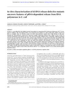 In vitro characterization of 6S RNA release-defective mutants