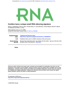 Conifers have a unique small RNA silencing signature