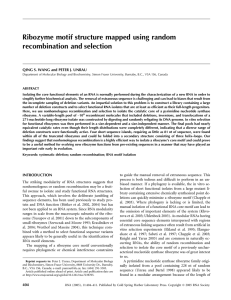 Ribozyme motif structure mapped using random recombination and selection