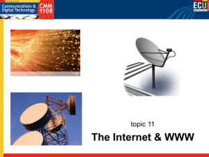 The Internet &amp; WWW topic 11