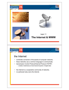 The Internet &amp; WWW the Internet topic 11